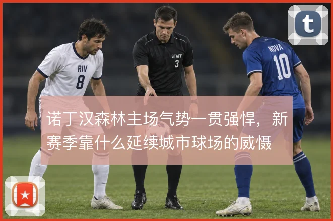 诺丁汉森林主场气势一贯强悍，新赛季靠什么延续城市球场的威慑